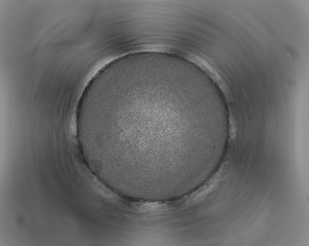 X0000113880883200910081744