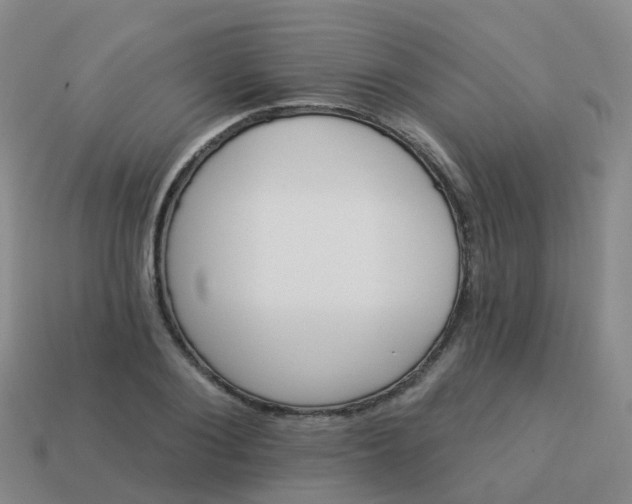 X0000113880884200910081744