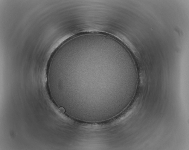 X0000113880885200910081744