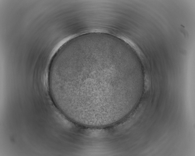 X0000113880886200910081744