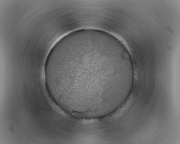 X0000113880887200910081744