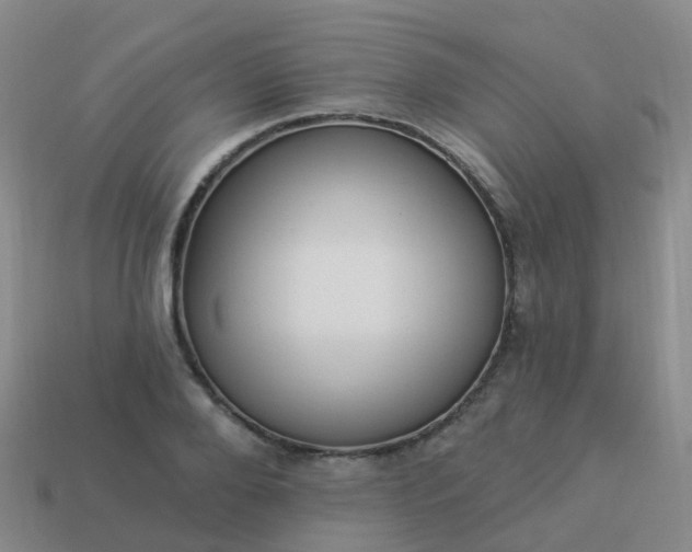 X0000113880888200910081744