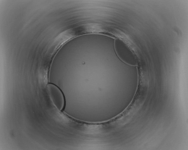 X0000113880889200910081744