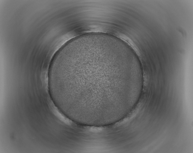 X0000113880890200910081744