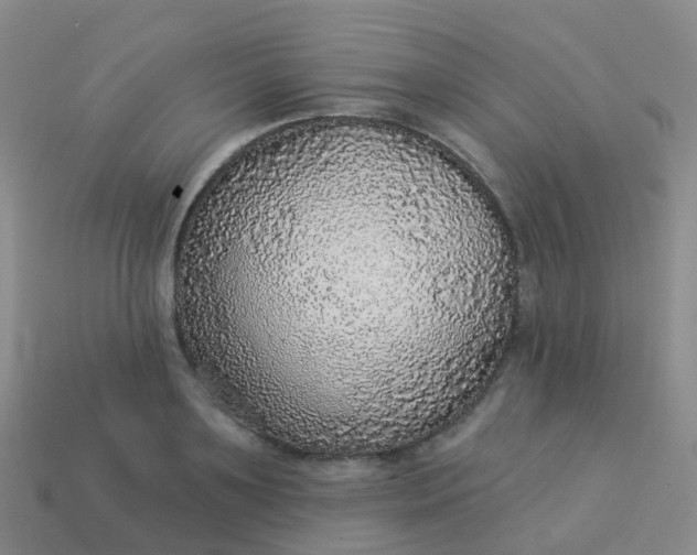 X0000113880891200910081744