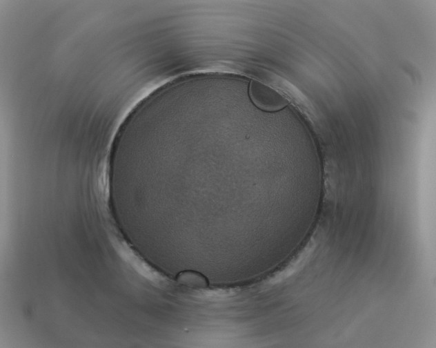 X0000113880892200910081744