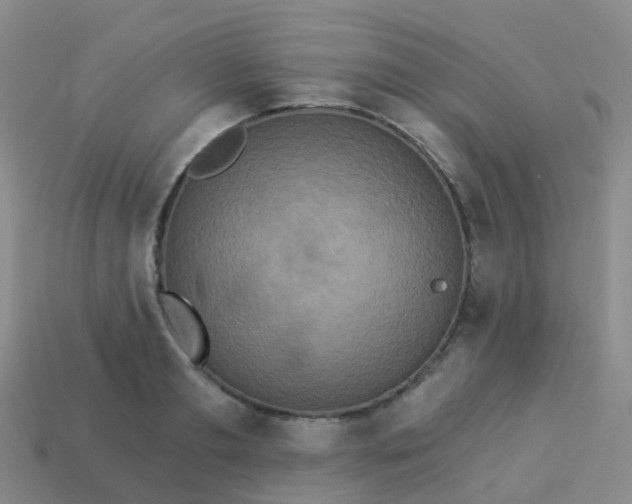 X0000113880893200910081744