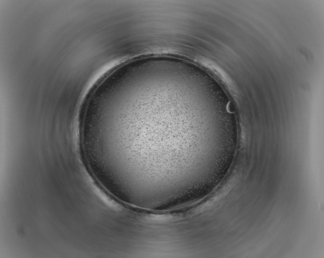 X0000113880894200910081744