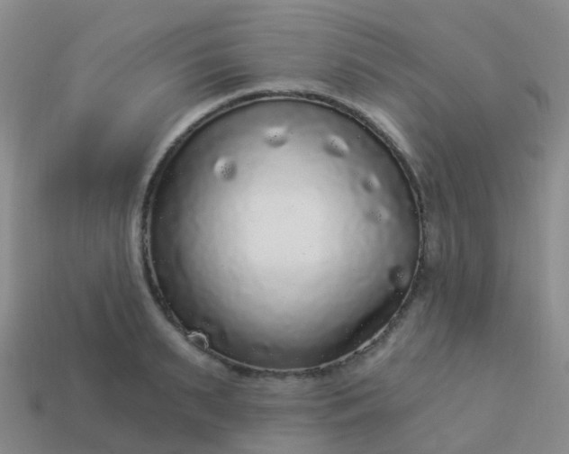 X0000113880895200910081744