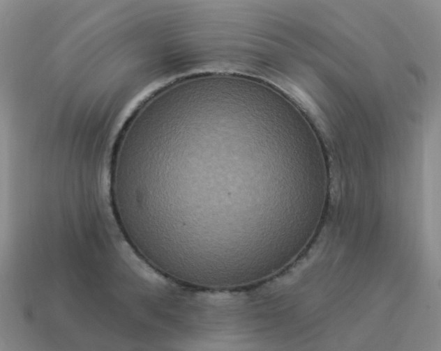 X0000113880896200910081744