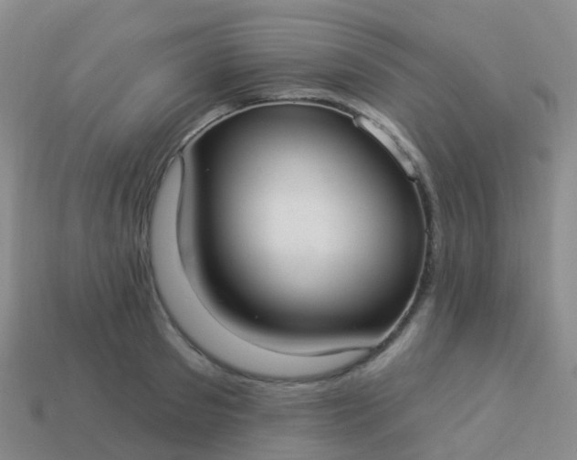 X0000113880897200910081744