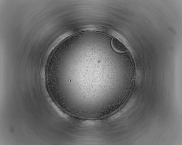 X0000113880898200910081744