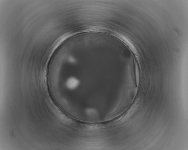 X0000113880899200910081744