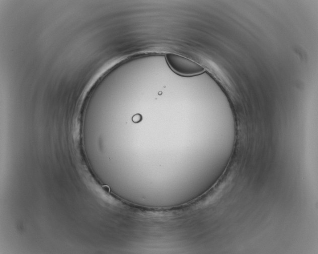 X0000113880900200910081744