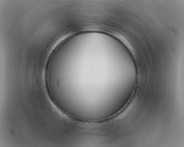 X0000113880901200910081744