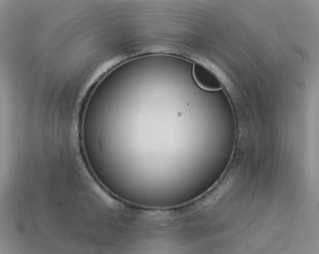 X0000113880902200910081744