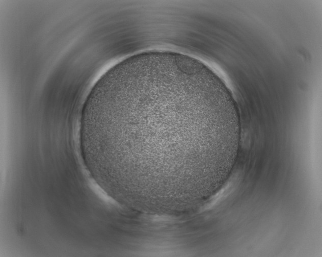 X0000113880903200910081744