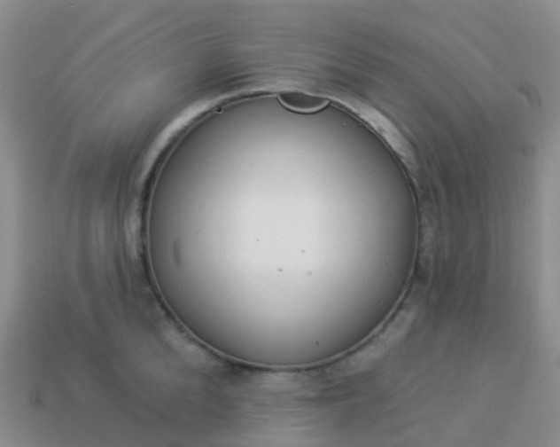 X0000113880904200910081744