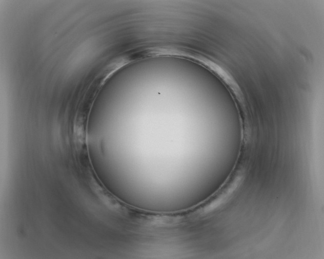 X0000113880905200910081744