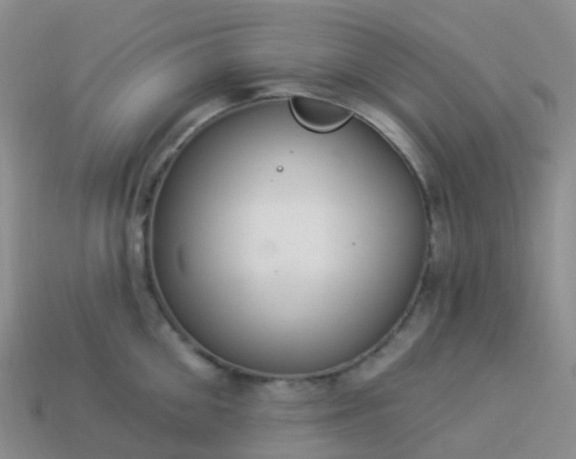 X0000113880906200910081744