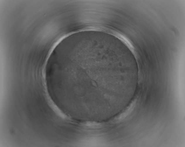 X0000113880907200910081744