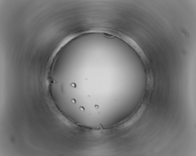 X0000113880908200910081744