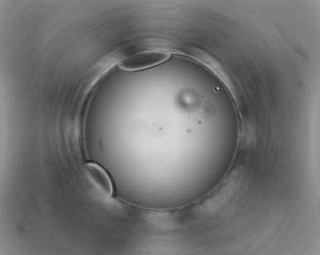 X0000113880909200910081744