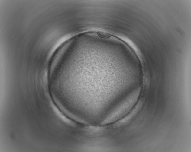 X0000113880910200910081744