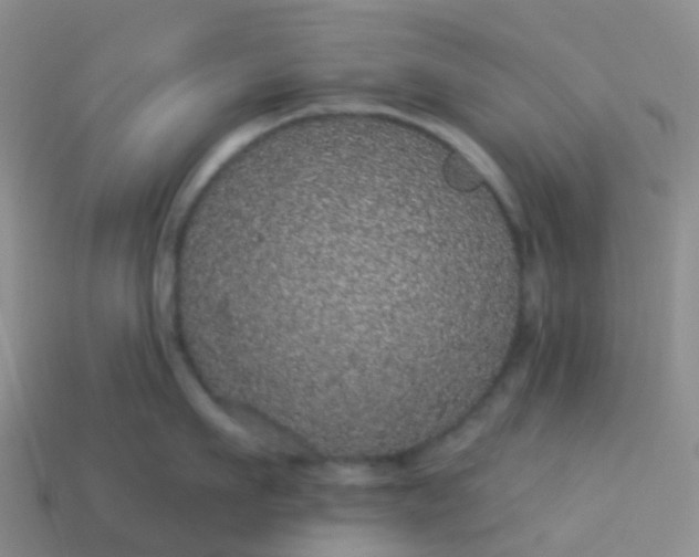 X0000113880911200910081744