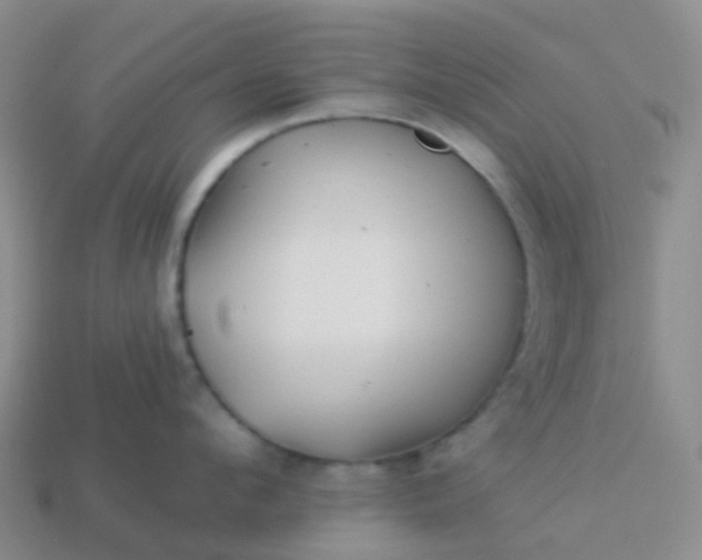 X0000113880912200910081744