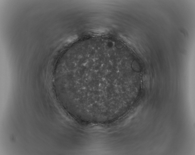 X0000113880913200910081743