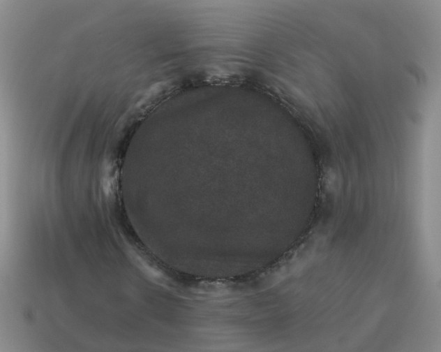 X0000113880914200910081743