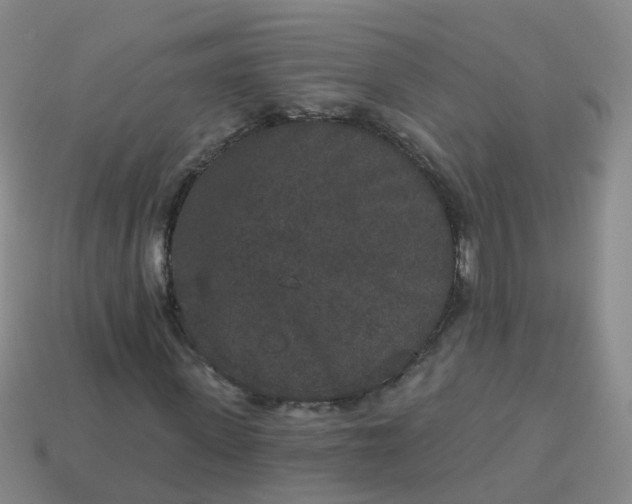 X0000113880915200910081743