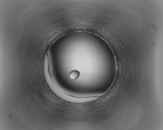 X0000113880916200910081743