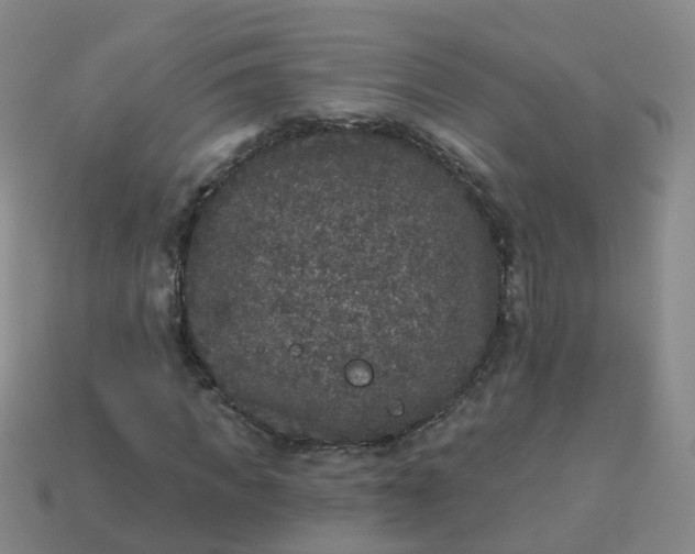 X0000113880917200910081743