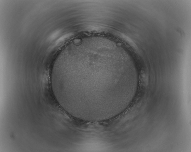 X0000113880918200910081743