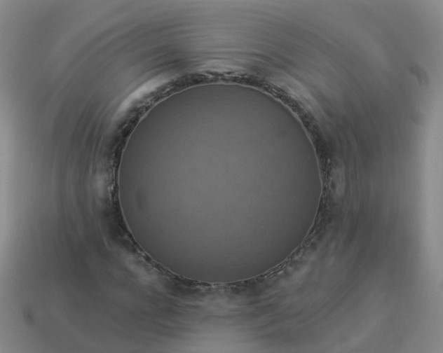 X0000113880920200910081743