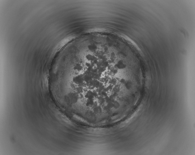 X0000113880921200910081743