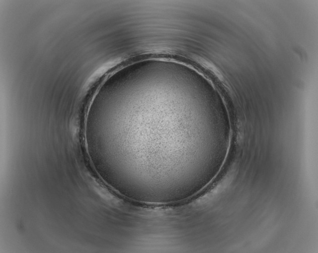 X0000113880922200910081743