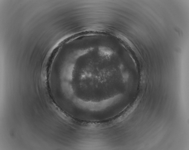 X0000113880923200910081743