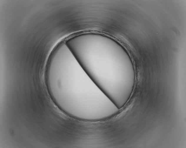 X0000113880924200910081743