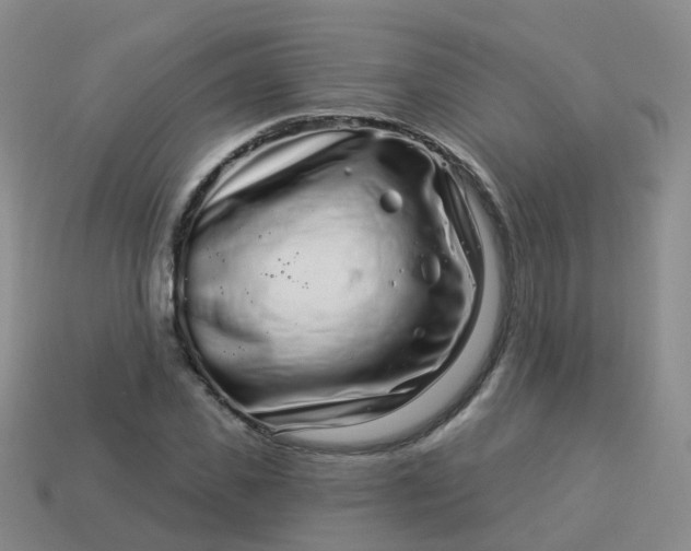 X0000113880925200910081743