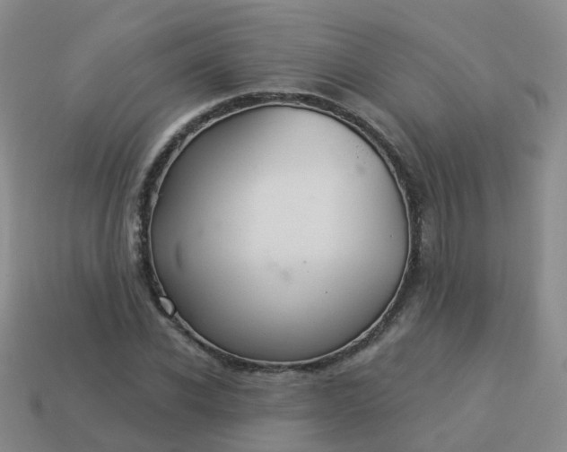 X0000113880926200910081743