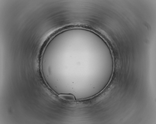 X0000113880927200910081743