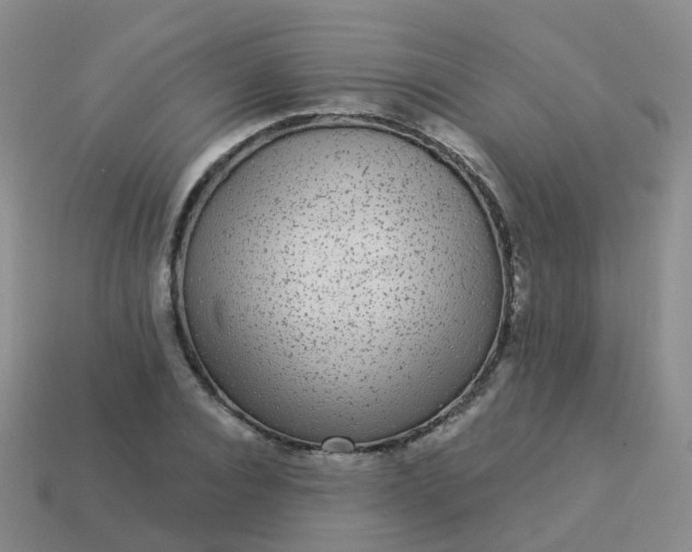 X0000113880928200910081743