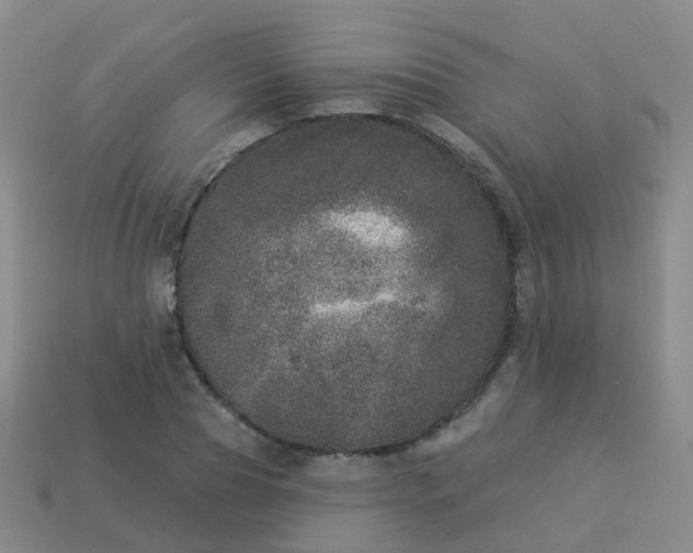 X0000113880929200910081743