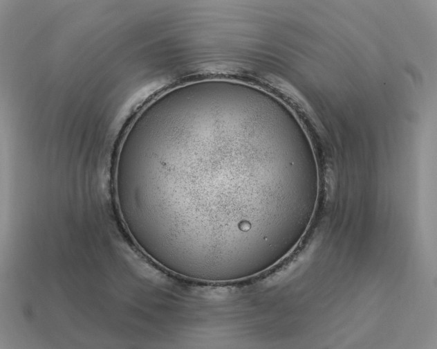 X0000113880930200910081743