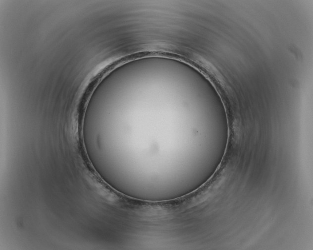 X0000113880931200910081743