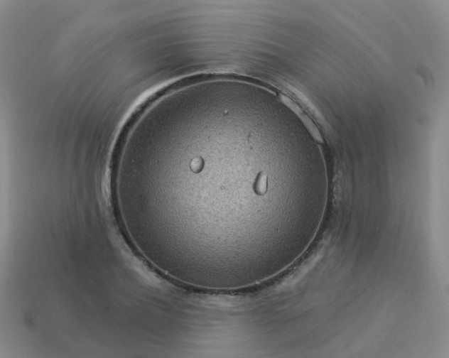 X0000113880932200910081743