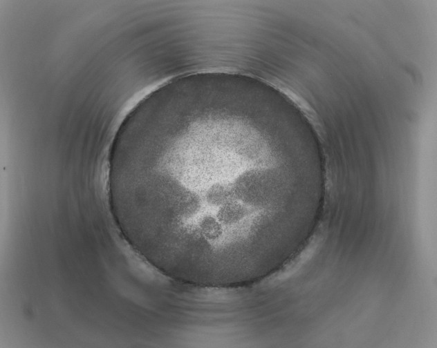 X0000113880933200910081743